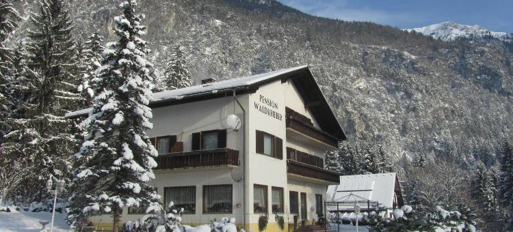 沃克里贝尔旅馆(Pension & Apartments Waldkrieber)图片