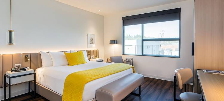 山景城帕洛阿尔托 沙市酒店(Shashi Hotel Mountain View Palo Alto)图片