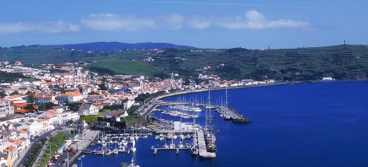 复达奥尔塔酒店(Pousada Forte da Horta – Historic Hotel)图片