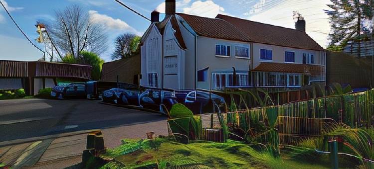 天鹅酒店(The Swan Inn)图片