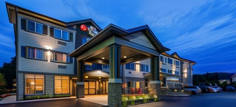 葡萄园贝斯特韦斯特优质套房酒店(Best Western Plus Vineyard Inn  Suites)图片