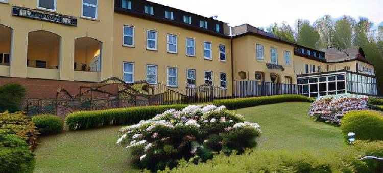 八德施乐马库尔酒店(Kurhotel Bad Schlema)图片