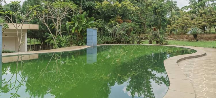 瑞德多兹普拉斯酒店 @ 洛达亚古农格力斯山(RedDoorz Plus @ Lodaya Gunung Geulis Puncak)图片