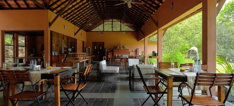 热带雨林度假村(Rainforest)图片