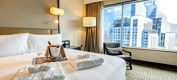 圣地亚哥比塔库拉希尔顿逸林酒店(DoubleTree by Hilton Santiago - Vitacura)图片