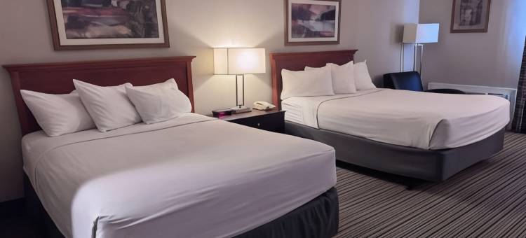 伦敦温德姆华美达酒店(Ramada by Wyndham London)图片