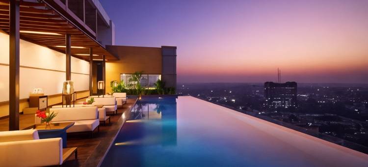 新德里市中心诺富特酒店(Novotel New Delhi City Centre)图片