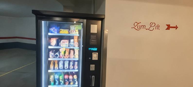 阿德勒酒店(Hotel Zum Adler)图片