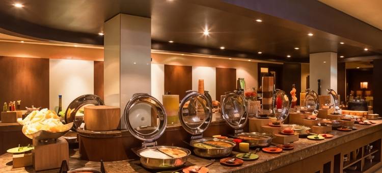 加奇保利艾拉亚酒店(Ellaa Hotel Gachibowli)图片