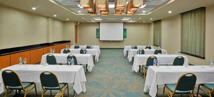 盖特威假日酒店&度假村(Holiday Inn & Suites Williamsburg-Historic Gateway)图片