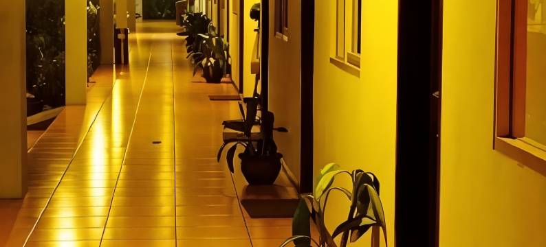 古突士国王酒店(Hotel Kings Kudus)图片