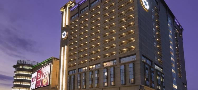 嘉义耐斯王子大饭店图片