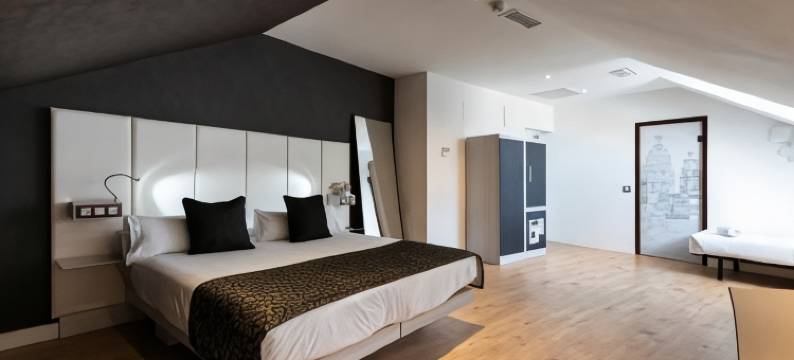 珀蒂宫圣巴巴拉酒店(Petit Palace Santa Bárbara)图片