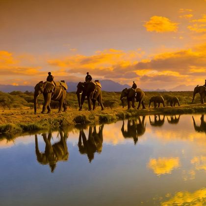 南非12日9晚跟团游