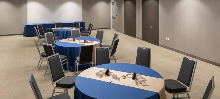 坦帕阳光海岸帕克威万豪SpringHill Suites酒店(SpringHill Suites Tampa Suncoast Parkway)图片