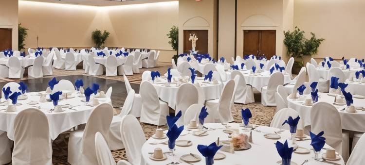 温德姆酒店和水上公园-埃尔帕索机场(Wyndham El Paso Airport Hotel and Water Park)图片