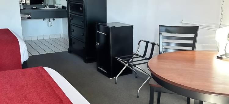 巴哈汽车旅馆(Baja Motel)图片