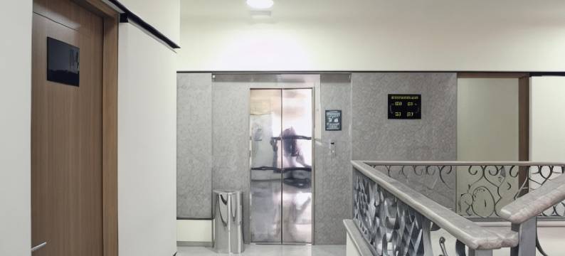 狮子大酒店(Hotel Grand Lion)图片