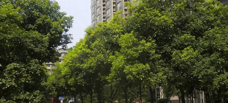 南昌恒茂临街公寓(八一广场店)图片
