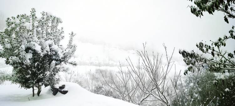 张家界山顶顶民宿图片