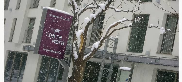 TIERRA MORA酒店精品店(Tierra Mora Hotel Boutique)图片