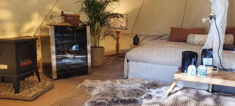 Surfviken(音译)(Surfviken Glamping and B&B)图片