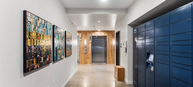 雷德蒙德核心区的开放式阁楼 - 92步行分数(Open Loft in Redmond Core - 92 Walkscore!)图片