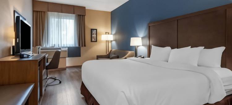 霍舍姆费城戴斯酒店(Comfort Inn Horsham - Philadelphia)图片