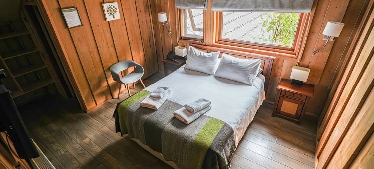 艾托梅里摩亚酒店(Alto Melimoyu Hotel & Patagonia)图片