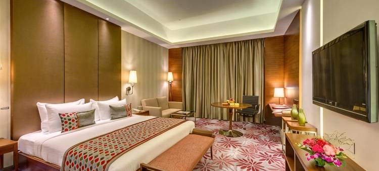 加尔各答傲世广场酒店(Pride Plaza Hotel, Kolkata)图片