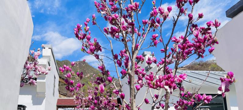 谦缘休闲度假村图片