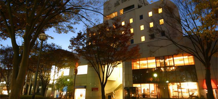 诹访城市酒店成田屋(Suwa City Hotel Naritaya)图片
