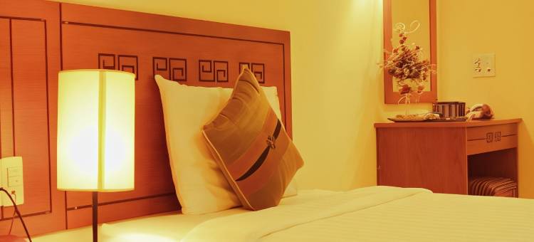 西贡瓦伦丁酒店(Valentine Hotel Saigon - Bui Vien Street)图片