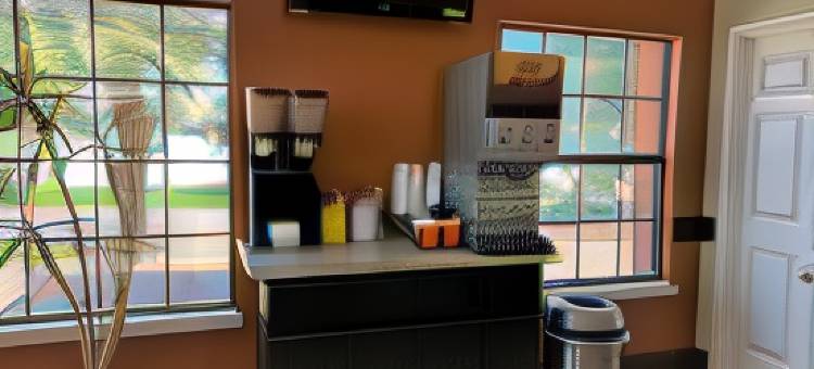 布朗斯维尔美洲最佳价值酒店(Americas Best Value Inn Brownsville/Padre Island Highway)图片