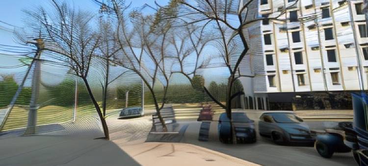 DLR大酒店(Dlr Grand)图片