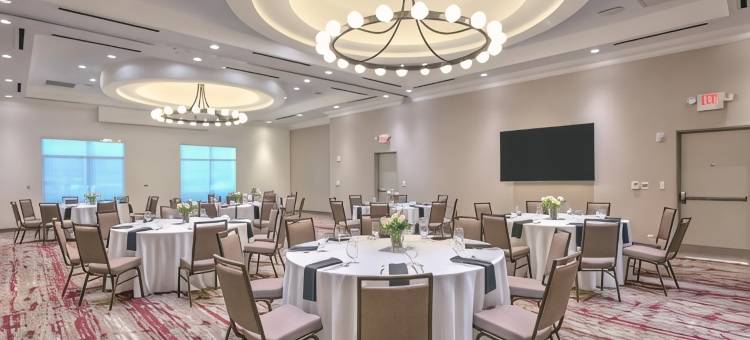 达拉斯阿林顿希尔顿花园酒店(Hilton Garden Inn Dallas/Arlington)图片