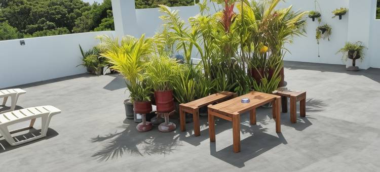 罗杰之家旅馆(Roger's Place Guesthouse)图片