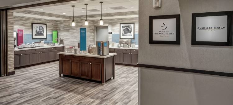 古德利茨维尔纳什维尔欢朋套房酒店(Hampton Inn & Suites Nashville/Goodlettsville)图片