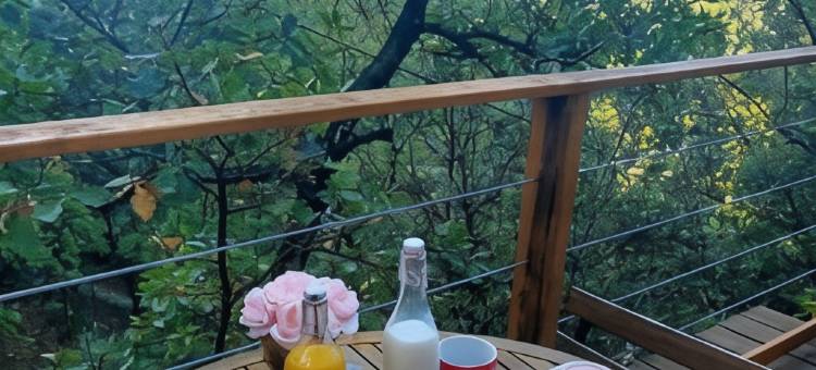 阿莫鲁斯小屋酒店(La Cabane des Amoureux)图片