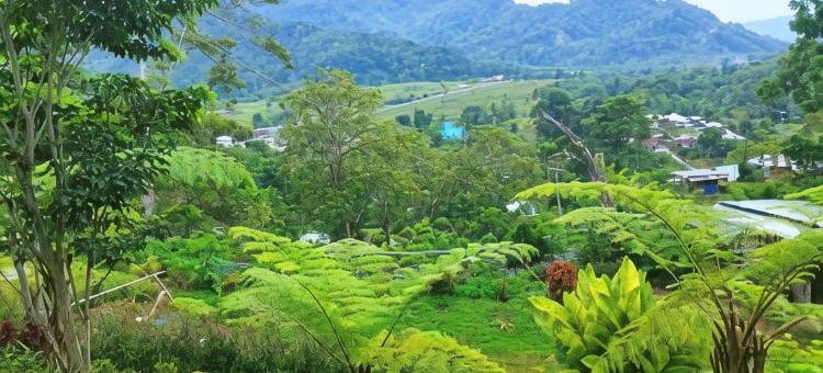 菲洛梅娜旅馆(Filomena Lodge)图片