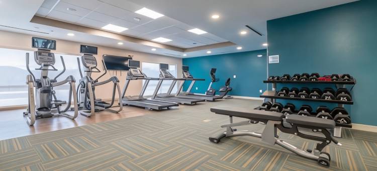 智选假日套房酒店马里恩 IHG(Holiday Inn Express & Suites MARION by IHG)图片