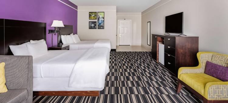 麦卡伦东阿拉莫拉昆塔温德姆套房酒店(La Quinta Inn & Suites by Wyndham Alamo - McAllen East)图片