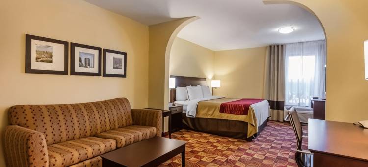 贾斯珀78号公路西舒适套房酒店(Comfort Inn & Suites Jasper Hwy 78 West)图片