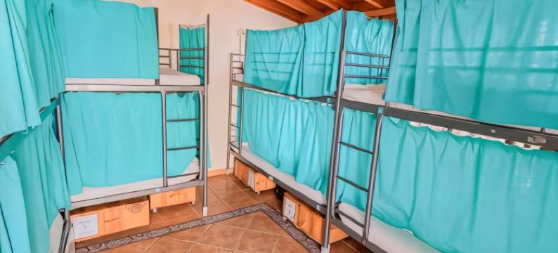 竞技场巢穴旅馆(Arena Nest Hostel)图片