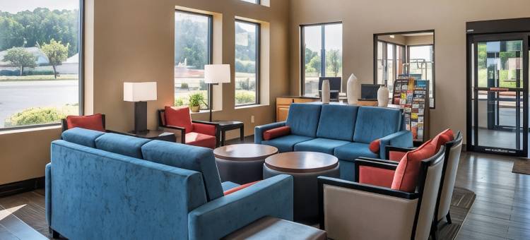 舒适全套房酒店(Comfort Suites)图片