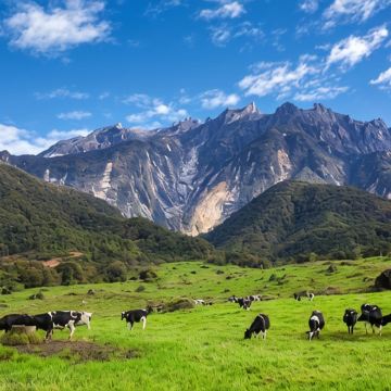 马来西亚吉隆坡+沙巴6日5晚拼小团