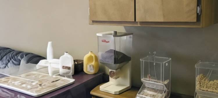 格林维尔骑士酒店(Knights Inn Greenville)图片