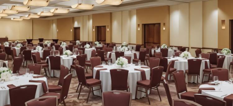 圣安东尼奥机场希尔顿逸林酒店(DoubleTree by Hilton San Antonio Airport)图片