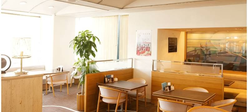 横手广场酒店(Yokote Plaza Hotel)图片