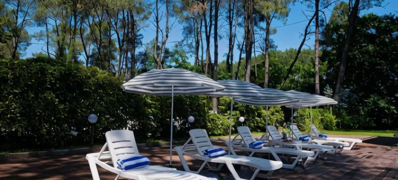 谢科维蒂利布克斯酒店(Buxus Hotel Shekvetili)图片